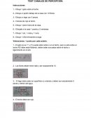 Test de canales de percepción