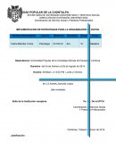 IMPLEMENTACION DE ESTRATEGIAS PARA LA ORGANIZACIÓN DE DATOS