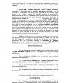 Demanda Sucesorio Intestamentario