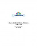 MANUAL DE CONTROL INTERNO CONTABLE Grupo PARMALAT S, A