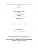 EJES CURRICULARES DE LA LENGUA CASTELLANA DEL CICLO 1 A 3 GRADO