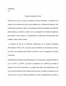 Ensayo de piratería en línea