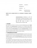 DEMANDA ABSOLUTA POR CAUSAL