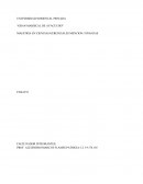 La tecnología de la información ensayo