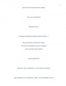 TRABAJO DE INVESTIGACIÓN: MULTIPLEXOR 4 -1