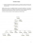 Caso telefonica en Chequia