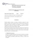 INFORME DE DESARROLLO DE INVESTIGACIÓN (CRITERIO B)