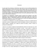 Ventajas de los PCGA