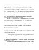 RESUMEN DEL CASO .-EL CHINITO VELOZ