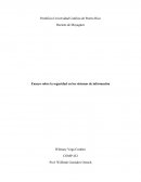 Seguridad en los Ssiemas de Informacion