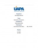 Sensación y Percepción Psicología