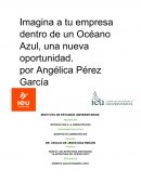 UNA ESTRATEGIA INNOVADORA “LA ESTRATEGIA DEL OCÉANO AZUL”