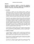 HISTORIA DEL ARMA DE INGENIERIA