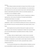 Ensayo Practicas Profesionales en la empresa Amex de México