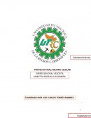 Mejora escolar en la Universidad Tecnológica de la Región Carbonífera de Coahuila