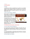 ¿Cómo ha evolucionado la natalidad?