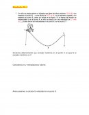 Realimentacion fisica general