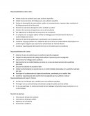 Responsabilidades de Líder Auditor