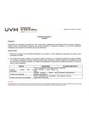 Actividad Integradora Principios de la persona