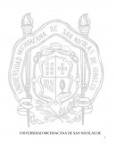 Elementos esenciales y de válidez de los contratos; Tema asignado para efectos del concurso de oposición abierto