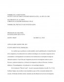 PROGRAMA DE MAESTRÍA: INVESTIGACIÓN EDUCATIVA