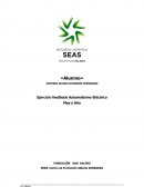 Ejercicio feedback Automatismo Eléctrico