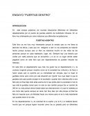 ENSAYO “PUERTAS DENTRO”