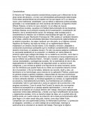 Caracteristicas derecho al trabajo