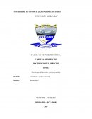 Sociología del derecho y crítica jurídica