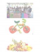 HÁBITOS ALIMENTICIOS NUTRICIONALES CON UNA DIETA RICA EN FRUTAS