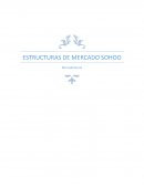 Trabajo final -Estructura de mercados