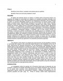 Beneficios de las ferias y canastas comunitarias para los quiteños