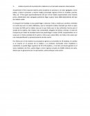 Economia sector maderero