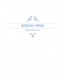 BODEGAS TORRES Problemática
