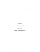 Control 1, estrategias de negociación