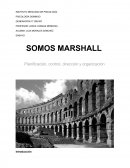 Planificación, control, dirección y organización