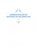 Administracion de sistemas de informacion. Análisis