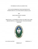 EVALUACION DE DIFERENTES NIVELES DE FERTILIZANTE NITROGENADO EN EL CULTIVO DE GIRASOL (Helianthus annuus)