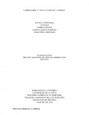 LABORATORIO: “CÉLULA VEGETAL Y ANIMAL”