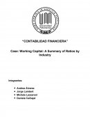 Case Working Capital_A summary of ratios by Industry