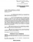 FORMATO INCIDENTE INSOLVENCIA ECONOMICA