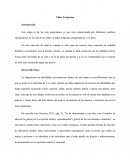 Psicología del Desarrollo Humano. Desarrollo Cognitivo