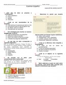 Ensayo sobre Examen Español