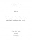 Liderazgo transformacional y transaccional IV