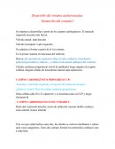 Desarrollo embriológico del sistema cardiovascular Se empieza a desarrollar a partir de los campos cardiogénicos. El músculo izquierdo necesita más fuerza.