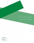 Corrida financiera. Resumen Ejecutivo