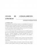 CICLOS DE CONGELAMIENTO CONCRETO CICLOS DE CONGELAMIENTO CONCRETO