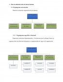 Plan de administración de talento humano