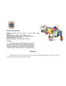 Estimular en los niños y niñas el interés por conocer los limites políticos territorial