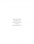 Aspecto ambiental y su Impacto Evaluación de impacto ambiental